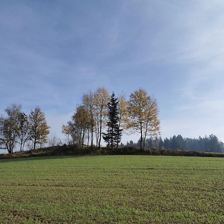 Kindererlebnis- Und Biobauernhof Hipp-Bruckner Wornharts Eksteriør bilde